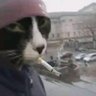 zub profil fotoğrafı