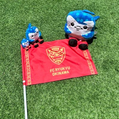 fcryukyu_goods's profile picture
