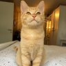 CivilCat's profile picture