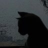 Фото профиля LONER