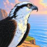 ミサゴ profil fotoğrafı