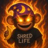 Shred 的头像