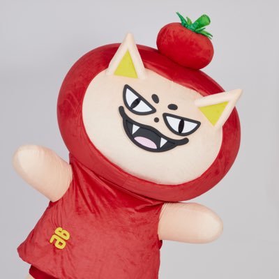 tomafox's profile picture