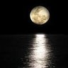 SeXual Moon(Verleiher des Balla-Balla-Gütesiegels) profil fotoğrafı