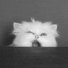 Kasaundravo Temekatb's profile picture