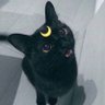 Profilbild von kazzy