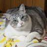 Profilbild von はな