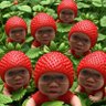 Happy Alice's profile picture