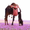 Фото профиля بدوي راااايق
