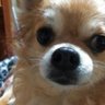 あまべまろ profil fotoğrafı