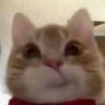 unnamed.'s profile picture