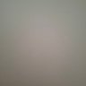 Shachar🇮🇱 profil fotoğrafı