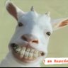 Asunción 🐐🤺 profil fotoğrafı