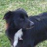 lou profil fotoğrafı
