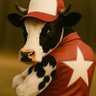 kindcows's profile picture