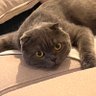 Leila's profile picture