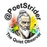 PoetStrider profil fotoğrafı