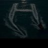 Haze's profile picture