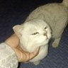 小多多 profil fotoğrafı