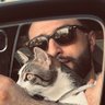 𝕩 Kurdoo☀️'s profile picture