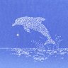 Dolphin profil fotoğrafı