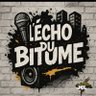 Profilbild von L'écho du bitume