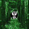369trader's profile picture