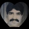 ❤️ Zain Mehar🇵🇸ipian's profile picture
