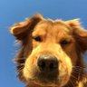 p. profil fotoğrafı