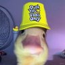 GutenTag (מנורה)'s profile picture