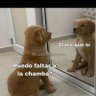 Marina profil fotoğrafı