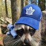 Dark Woke Raccoon 的头像