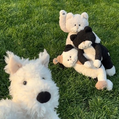Edy_yang1's profile picture