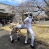 キ 的头像