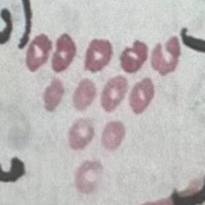 الصقري's profile picture