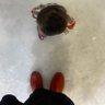 lusi 的头像