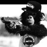 Фото профиля 🇻🇮🦍Mez THE FUCKIN MONKEY Mr B2A🌪️💚💙