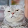 ตะนู๋!!! profil fotoğrafı