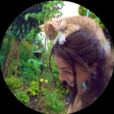 patatespiresi's profile picture