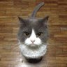 Profilbild von Benjamin Bacon
