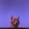 Profilbild von LeksCrypt