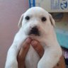 IchLächelteRW's profile picture