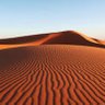 السيف 🇸🇦's profile picture
