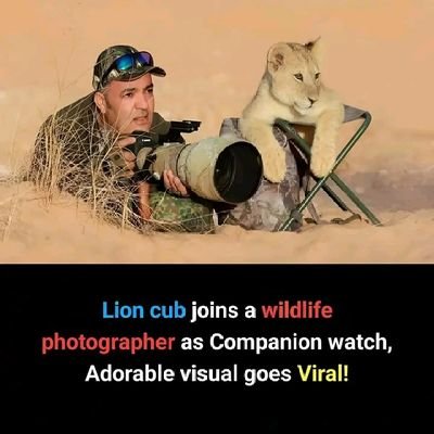 Booz's profile picture