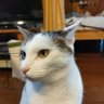 水緒爆 profil fotoğrafı