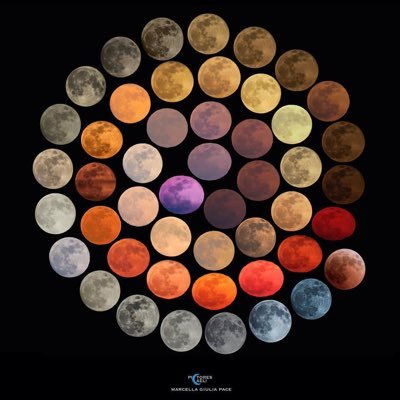 AvNikomedia's profile picture
