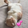 maichi profil fotoğrafı