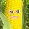 CORNdiff profil fotoğrafı