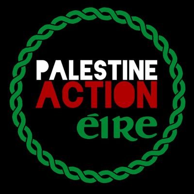 Palestine Action Éire's profile picture