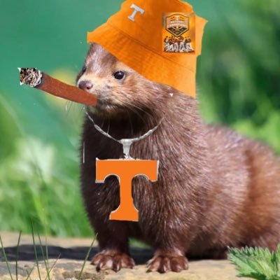 WildasaMink's profile picture